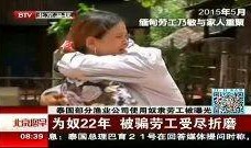 折磨 在线观看,揭秘人性深渊的惊悚之旅